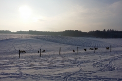 20141230_094421